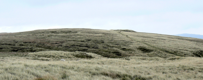 Cheeks Hill Cheeks Hill